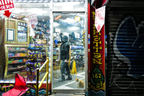 Real bodega cat from NYC
